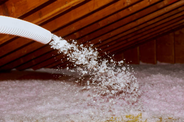 Best Spray Foam Insulation  in USA